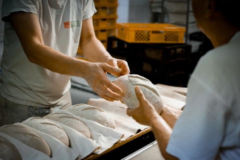 Bäckerhandwerk - NGG fordert höhere Löhne im Hofer Land