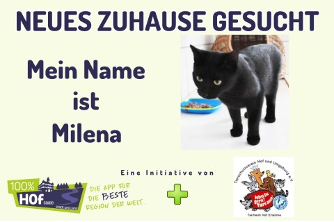 Unsere Tier der Woche heißt Milena !