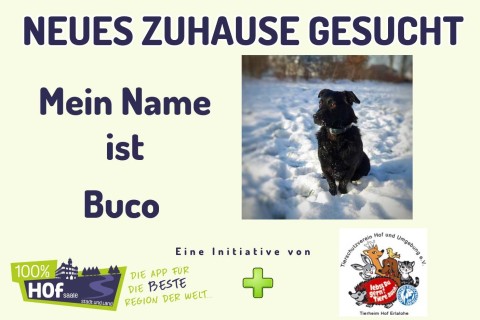 Unser Tier der Woche heißt Buco !
