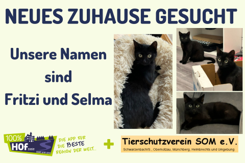 Unsere Tiere der Woche heißen Fritzi und Selma !