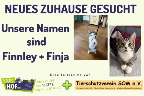 Unsere Tiere der Wochen heißen Finnley & Finja !