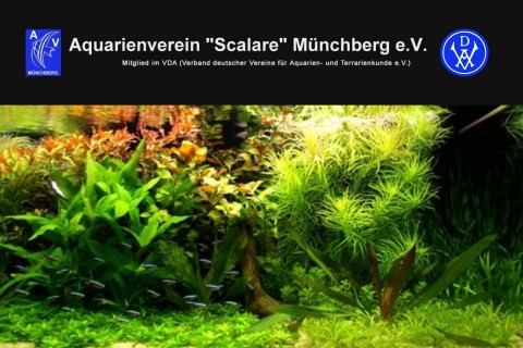 Aquarienverein “Scalare” Münchberg e.V.