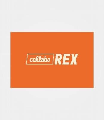 collaboREX GmbH