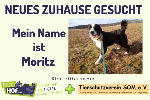 Unser Tier der Wochen heißt Moritz !